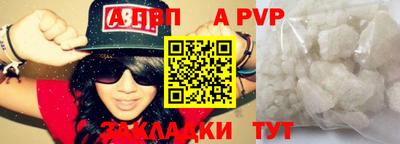 стафф Донской