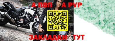 стафф Донской