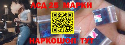 стафф Донской