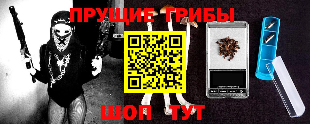 Псилоцибиновые грибы Cubensis Чита
