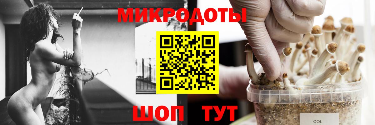 Псилоцибиновые грибы Magic Shrooms  Псилоцибиновые грибы MAGIC MUSHROOMS  Вход с VPN  Чита 